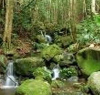 Budderoo National Park - Accommodation Mooloolaba