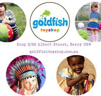 Goldfish Toy Shop - Accommodation Mooloolaba