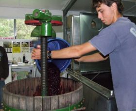 Fern Gully Winery - Accommodation Mooloolaba 0