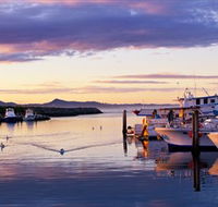 Bermagui Fishermens Wharf - Accommodation Mooloolaba