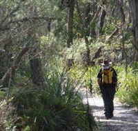 Barren Grounds Nature Reserve - Accommodation Mooloolaba