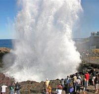 Kiama Blowhole - Accommodation Mooloolaba