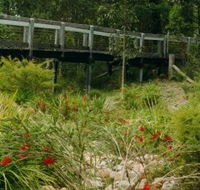 Eurobodalla Botanic Gardens - Accommodation Mooloolaba