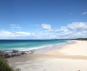 Beach Art Gallery - Accommodation Mooloolaba 0