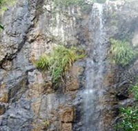 Wedding Bells Forest Drive - Accommodation Mooloolaba