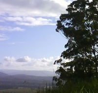 Sherwood Nature Reserve - Accommodation Mooloolaba
