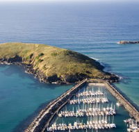 Muttonbird Island Nature Reserve - Accommodation Mooloolaba