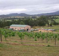 Villa d Esta Vineyard - Accommodation Mooloolaba