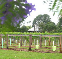 Douglas Vale Historic Homestead  Vineyard - Accommodation Mooloolaba
