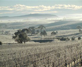 Kurrajong Downs Wines Vineyard - Accommodation Mooloolaba 1