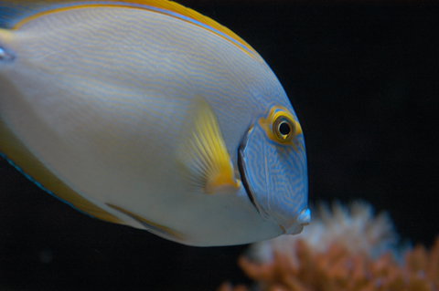 Solitary Islands Aquarium - Accommodation Mooloolaba 3