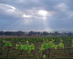 Thunder Ridge Wines - Accommodation Mooloolaba 1