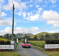 Sarabah Estate Vineyard - Accommodation Mooloolaba
