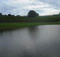 Vintners Secret Vineyard Cellar Door and Cafe - Accommodation Mooloolaba