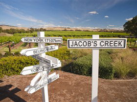 Jacob's Creek Vineyard Tour - Accommodation Mooloolaba 1
