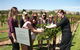 Jacob's Creek Vineyard Tour - thumb 2