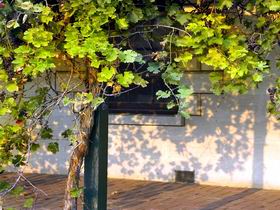 Wolseley SA Accommodation Mooloolaba