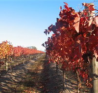 Kooyonga Creek Wines - Accommodation Mooloolaba