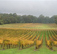 Boat O'Craigo Wines - Accommodation Mooloolaba