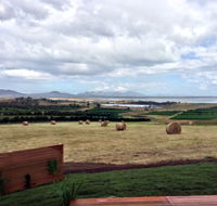 The Hazards Vineyard - Devil's Corner - Accommodation Mooloolaba