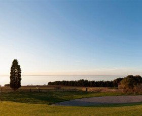 Jack Rabbit Vineyard - Accommodation Mooloolaba 3