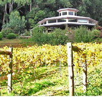 Peveril Vineyard/Beechy Berries - Accommodation Mooloolaba