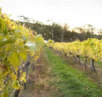 Harcourt Valley Vineyards - Accommodation Mooloolaba
