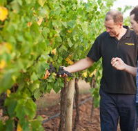 Fratin Brothers Vineyard - Accommodation Mooloolaba