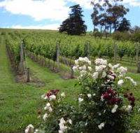 Pembroke Estate Vineyard - Accommodation Mooloolaba