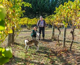 Acheron VIC Accommodation Mooloolaba