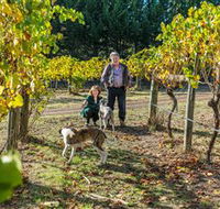 Little River Wines of Taggerty - Accommodation Mooloolaba
