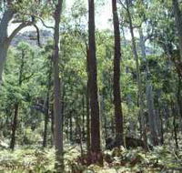 Cathedral Range State Park - Accommodation Mooloolaba