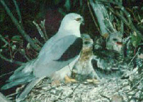 Bushy Park Wetlands - Accommodation Mooloolaba 0