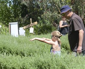 Hedgend Maze And Healesville Laser Sport - Accommodation Mooloolaba 2