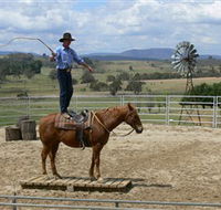 Boggy Creek Shows - Accommodation Mooloolaba