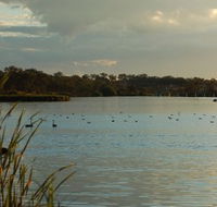 Lake Inverell Reserve - Accommodation Mooloolaba