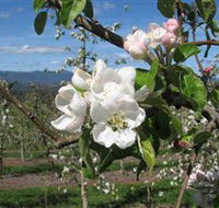 Mouat's Farm - Accommodation Mooloolaba
