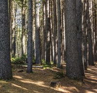 Sugarpine Walk - Accommodation Mooloolaba