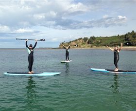 Peninsula Stand Up Paddle - Accommodation Mooloolaba 3