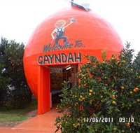 Gayndahs Big Orange - Accommodation Mooloolaba
