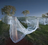 Toppers Mountain Wines - Accommodation Mooloolaba