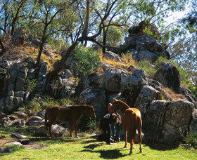  Accommodation Mooloolaba