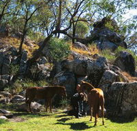Coomba Falls - Accommodation Mooloolaba
