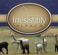 Marchmont Park Alpacas - Accommodation Mooloolaba
