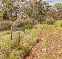 Old Mountain Road Walking Track - Accommodation Mooloolaba