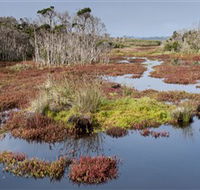 French Island National Park - Accommodation Mooloolaba