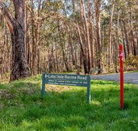 Lobs Hole Ravine 4WD Trail - Accommodation Mooloolaba