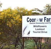 Coorow Farm Wildflower Trail - Accommodation Mooloolaba