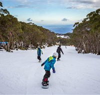 Mt Baw Baw Alpine Resort - Accommodation Mooloolaba