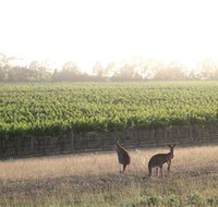 Small Forest Wine - Accommodation Mooloolaba